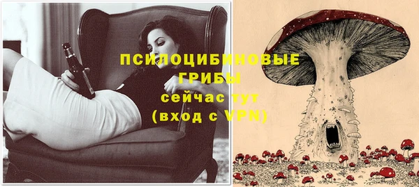 spice Абинск