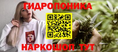молекула духа Заводоуковск