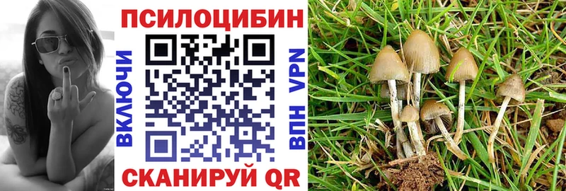 Галлюциногенные грибы MAGIC MUSHROOMS  Сызрань 