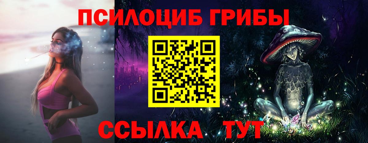 Сызрань  Галлюциногенные грибы мицелий  Псилоцибиновые грибы прущие грибы  Вход с VPN 